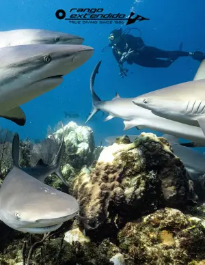 Diving trip to Jardines de la Reina