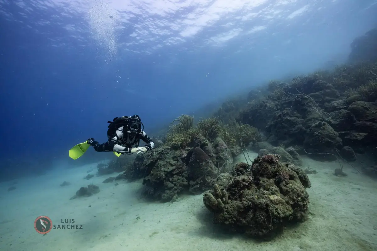 Curso Open Water Diver