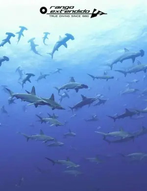 Diving trip to Japan: HAMMERHEAD SHARK EXPEDITION