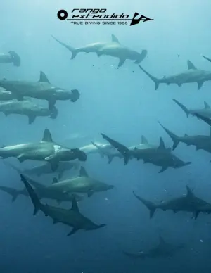 Diving trip to Galapagos