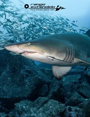 Diving trip to Australia