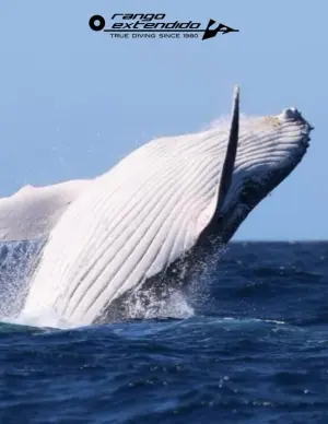 Diving trip to Wild Australia