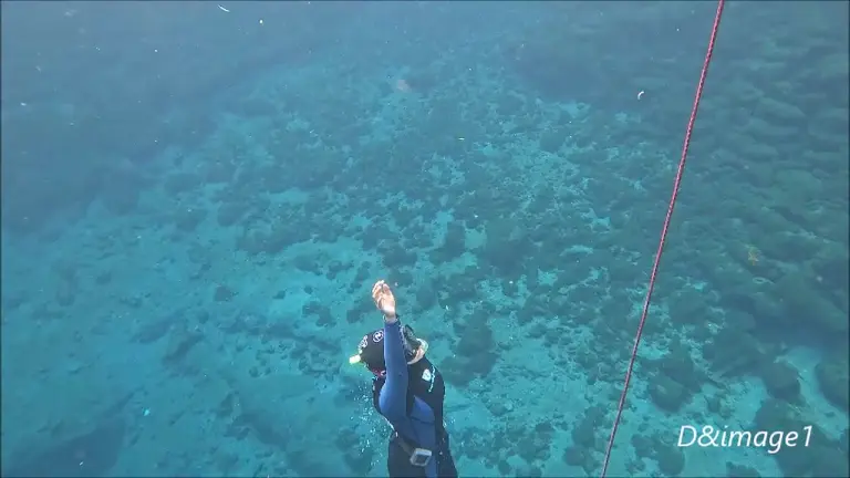 Your first dive down the line