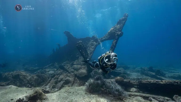 Expedición de buceo a Isla Lobos y la Plataforma, Veracruz: delfines, arrecifes y un barco hundido